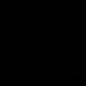 Meet your Posher, Brittney